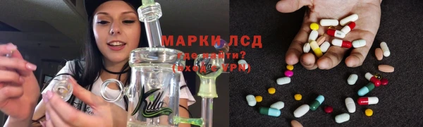 дживик Губаха