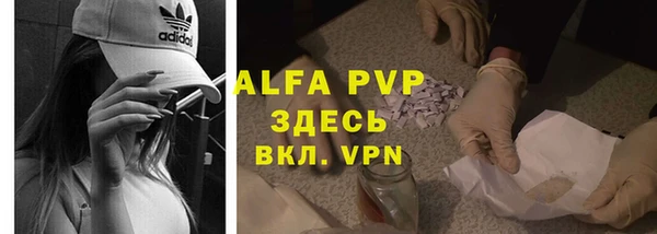 прущие грибы Михайловка