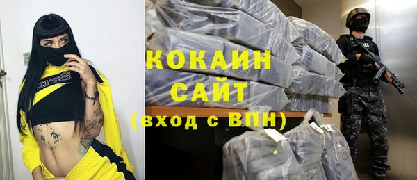 прущие грибы Михайловка